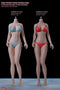 Phicen TBLeague S35A Suntan, Medium Bust Female Seamless 1/6 Body Action Figure